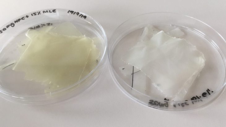 Innovador bioplástico para conservar alimentos