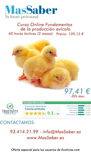 MasSaber presenta: Fundamentos de la producción avícola