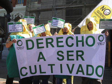 Mazorcas ecológicas reivindican su derecho a ser cultivadas en España