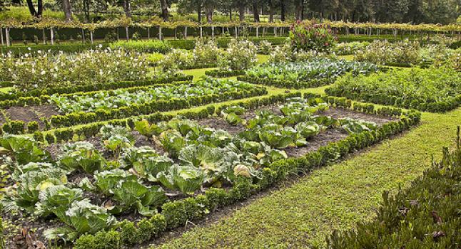 Valladolid implementará más de 180 huertos ecológicos para desempleados