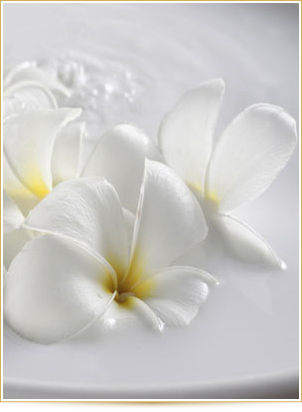 Jabones de leche de burra