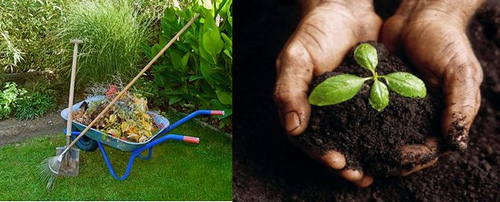 Qué es y cómo hacer composta