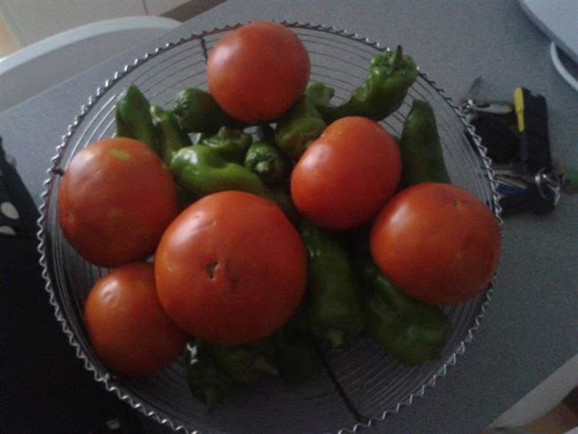 Plan andaluz para favorecer el consumo de fruta en las escuelas