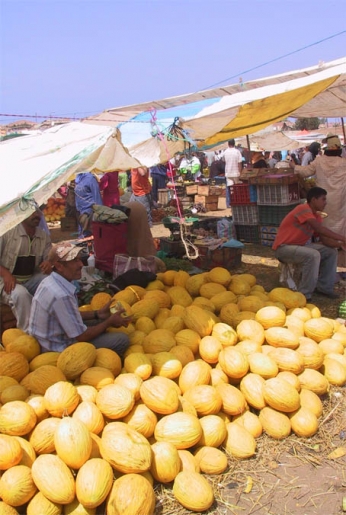 Hambrunas. La soberanía alimentaria como alternativa