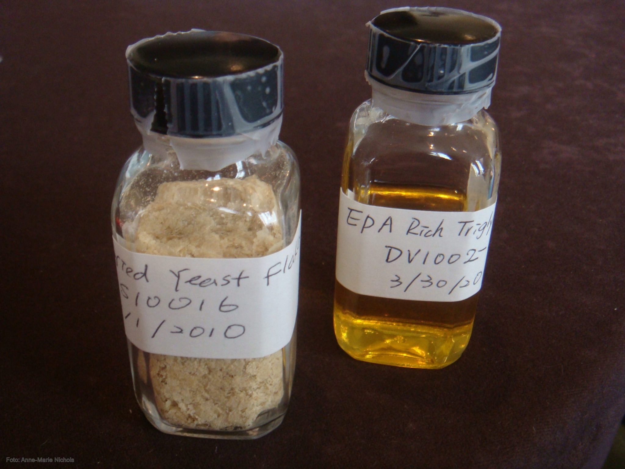 Estudian el uso de fluidos supercríticos para obtener concentrados naturales de omega 3