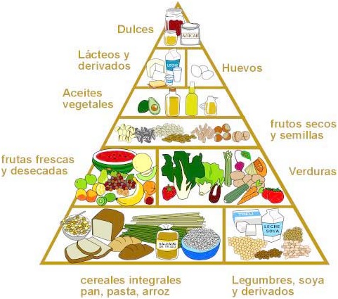 Secretos y ejemplos de un buena dieta vegana