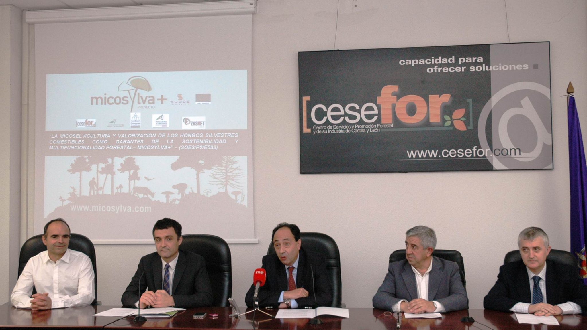 El proyecto Micosylva+ ahondará en el aprovechamiento sostenible de los hongos silvestres comestibles