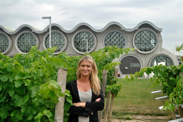 Mastinell producirá este año cerca de medio millón de botellas de cava y vino y mira a EE.UU. y Japón