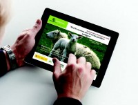 Nueva herramienta para la oferta/demanda de pastos