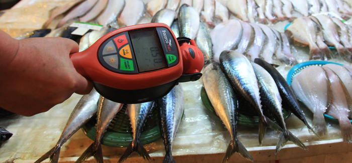 Corea del Sur reduce su consumo de pescado por precaución ante las filtraciones de Fukushima-1