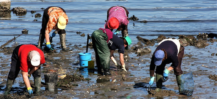 Mujeres rurales: ‘madres’ de la alimentación mundial