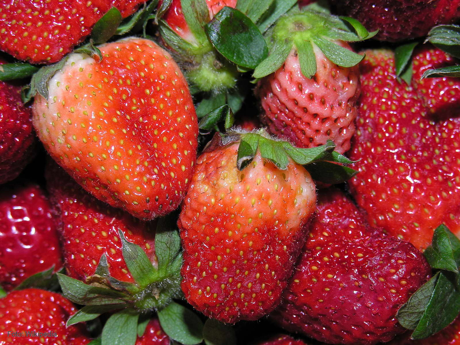 Freshuelva destaca la calidad de la fruta onubense y rechaza el aumento de controles desde Francia