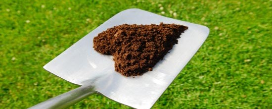 Te apasiona la alimentación ecológica Pues este Diplomado es el siguiente paso a seguir