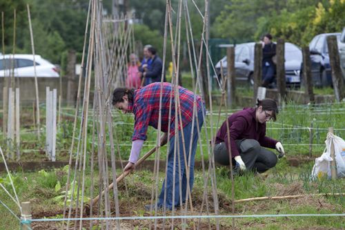 El PSOE urge fincas alternativas para huertos urbanos