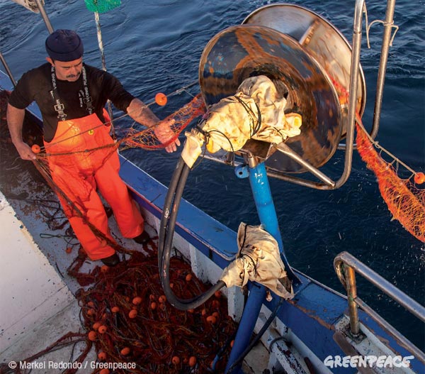 La pesca sostenible y la información al consumidor