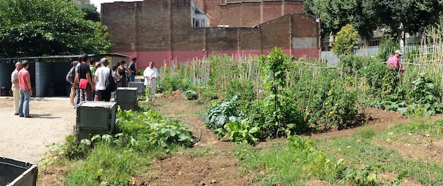 Conoce los Huertos Urbanos de Barcelona