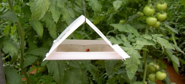 El Gobierno de Aragón destina más de dos millones de euros a apoyar la innovación y la cooperación agroambiental