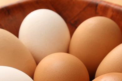 Jaén apuesta por el huevo ecológico como alternativa al olivar