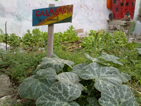 La huertita de Tetuán