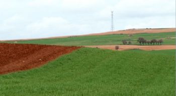 Las prácticas agrarias sostenibles permiten un mayor cuidado del suelo