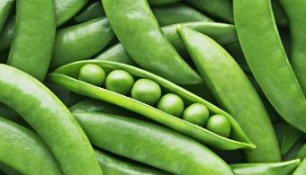 Universidad de Barcelona te propone un Máster en agricultura ecológica