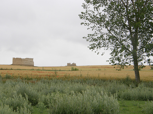 La finca de Villalba de los Alcores