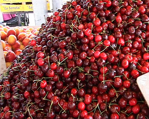 Programa Empleaverde