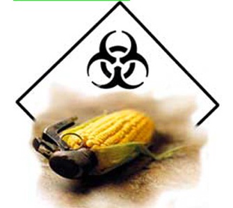 Transgénicos. Oposición a ‘Monsanto’