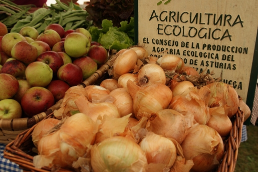 Los alimentos ‘ecológicos’ tienen mayor calidad nutricional