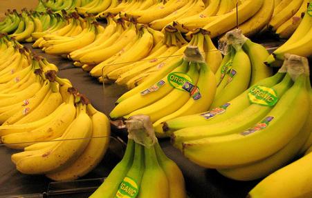 El Hierro apuesta por la agricultura ecológica