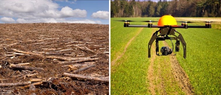 Innovadores drones para luchar contra la deforestación