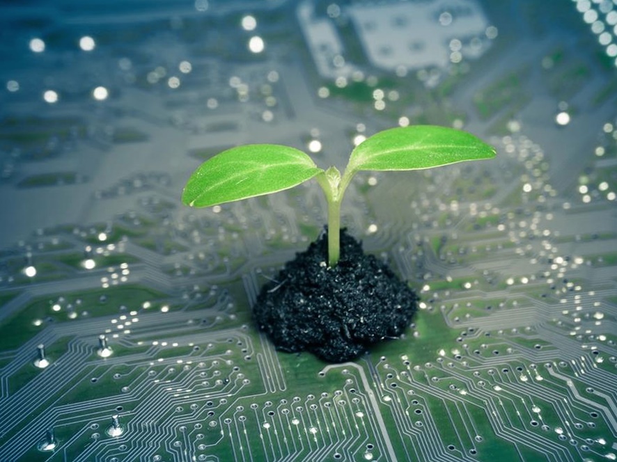 Cinco sorprendentes aplicaciones de las tecnologías verdes