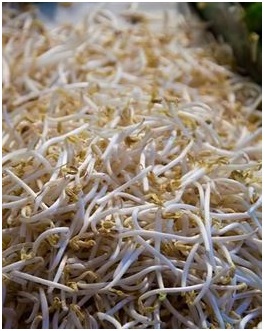 Las plantas medicinales reducen el riesgo cardiovascular