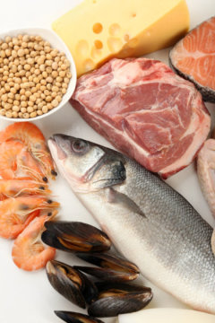 High protein foods boost cardiovascular health