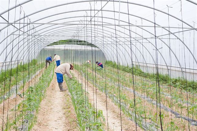 Comienzan esta semana los cursos de agricultura ecológica en la Ekogela de Bioeskola BBK
