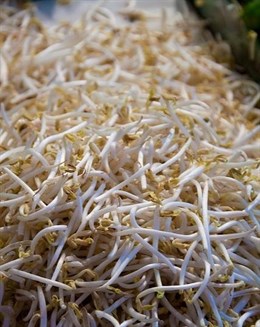 La soja y la calidad del esperma