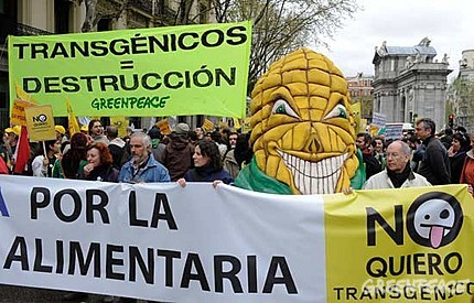 Según datos del último eurobarómetro sobre biotecnología el 53% de la población se opone a los alimentos transgénicos