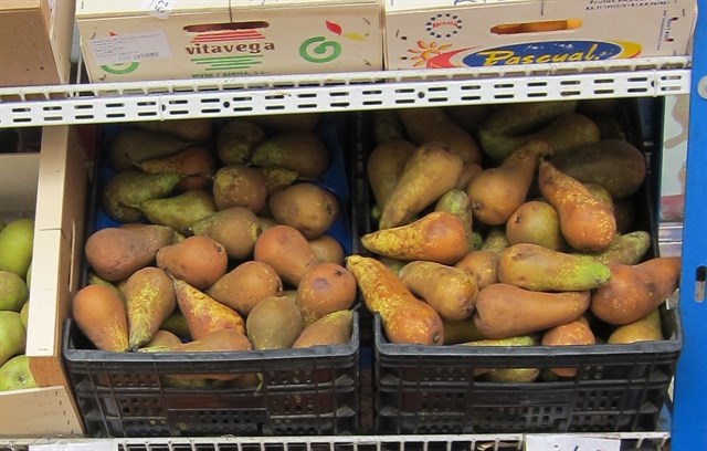 La DOP Peras de Rincón de Soto superará por primera vez en esta campaña las mil hectáreas de superficie amparada