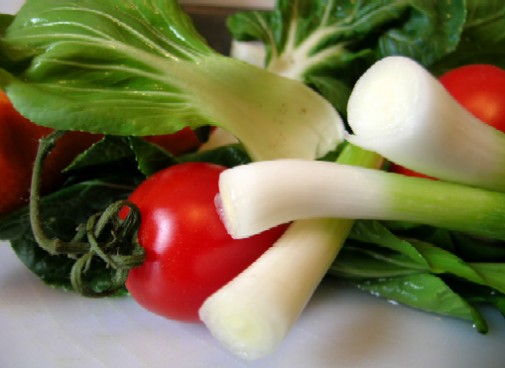 Producción de alimentos ‘haciendo un uso sostenible de los recursos de agua y energía’