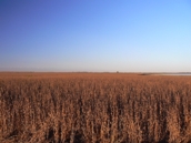 Junta muestra a los agricultores las mejores técnicas para mantener la biodiversidad de las balsas de agua