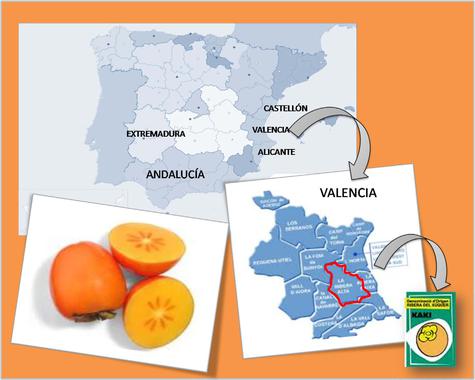 Los enormes beneficios del caqui en la dieta