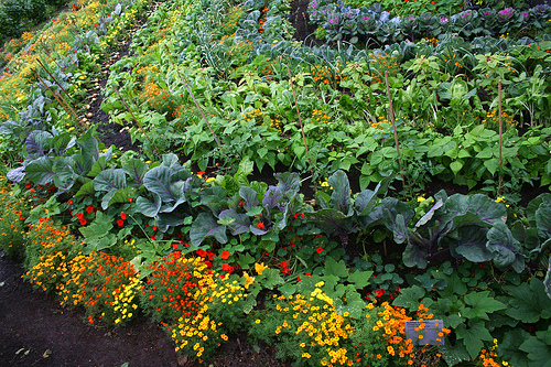 Una sociedad cooperativa de agricultura ecológica