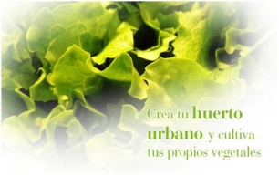 Sabes hacer un huerto urbano Pues apréndelo con MasSaber