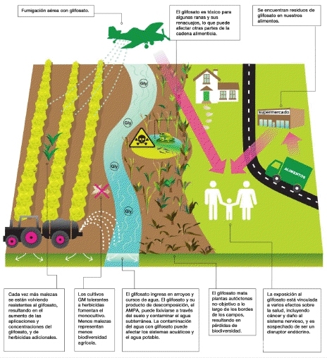 Ojo con el ‘glifosato’