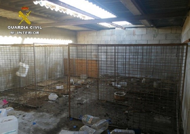 Detienen a un sujeto por maltratar animales en Gran Canaria