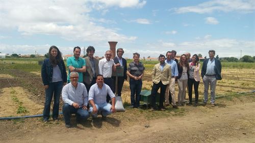 Transformar terrenos baldíos en huertos ecológicos