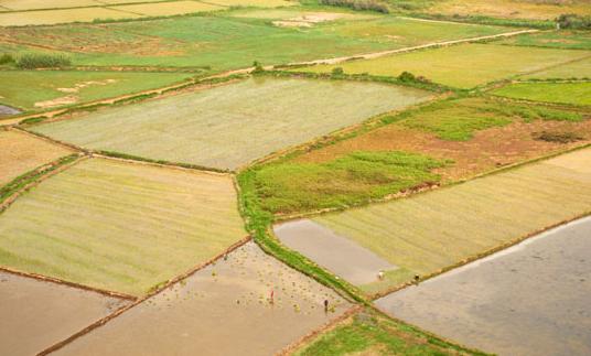 El PE reclama un gasto agrícola acorde a los retos de seguridad alimentaria y protección medioambiental