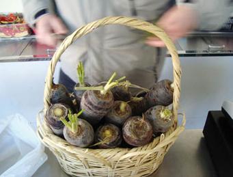 Pluridisciplinariedad