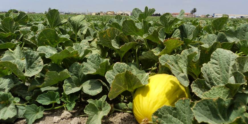 La Rioja ‘apuesta’ por la formación y promoción de la agricultura ecológica