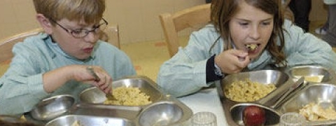 Menús escolares y hábitos alimentarios